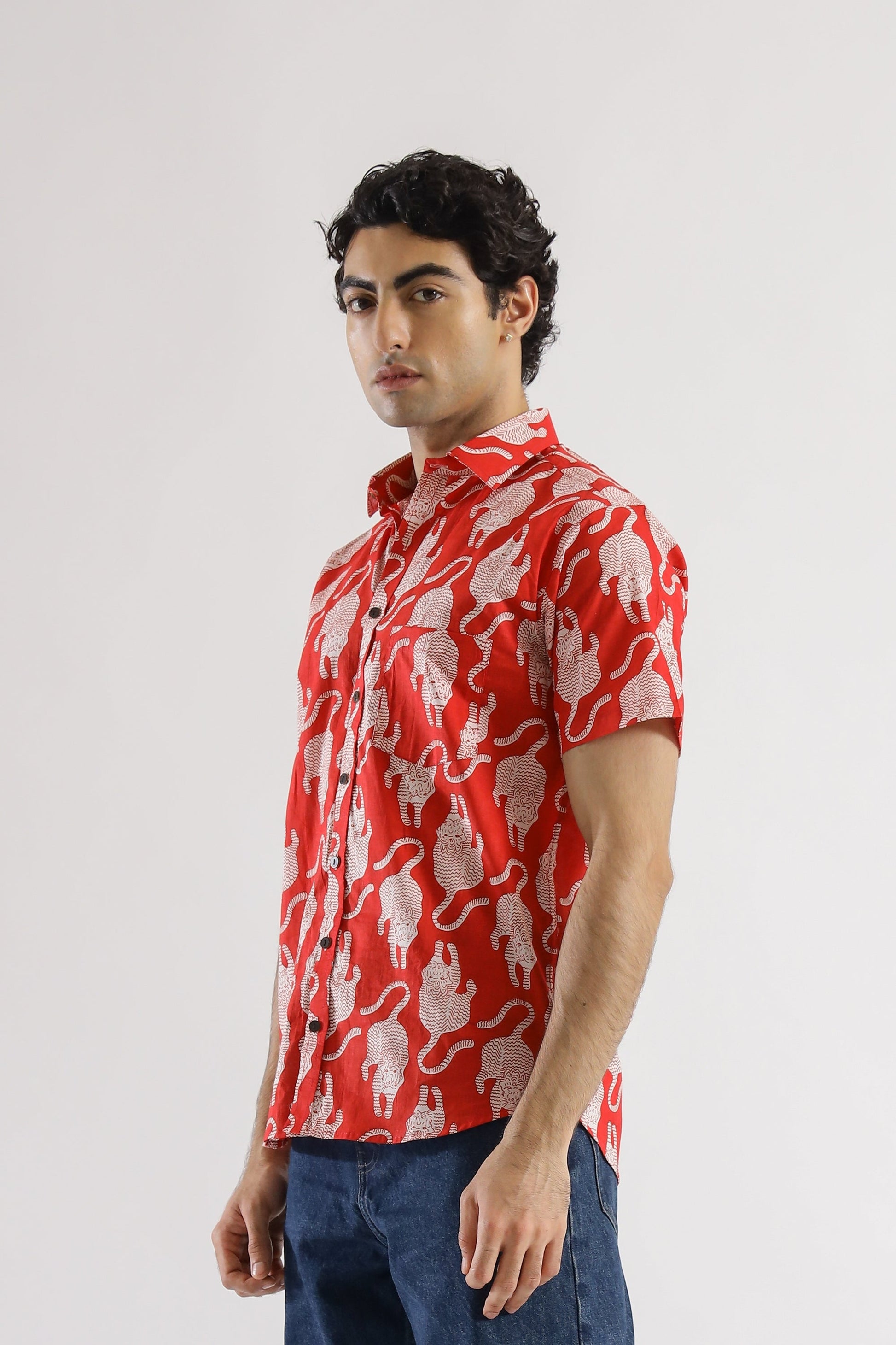 COTTON PRINTED SHIRTS | | Shop stylish women's clothing online at Label Flavia |