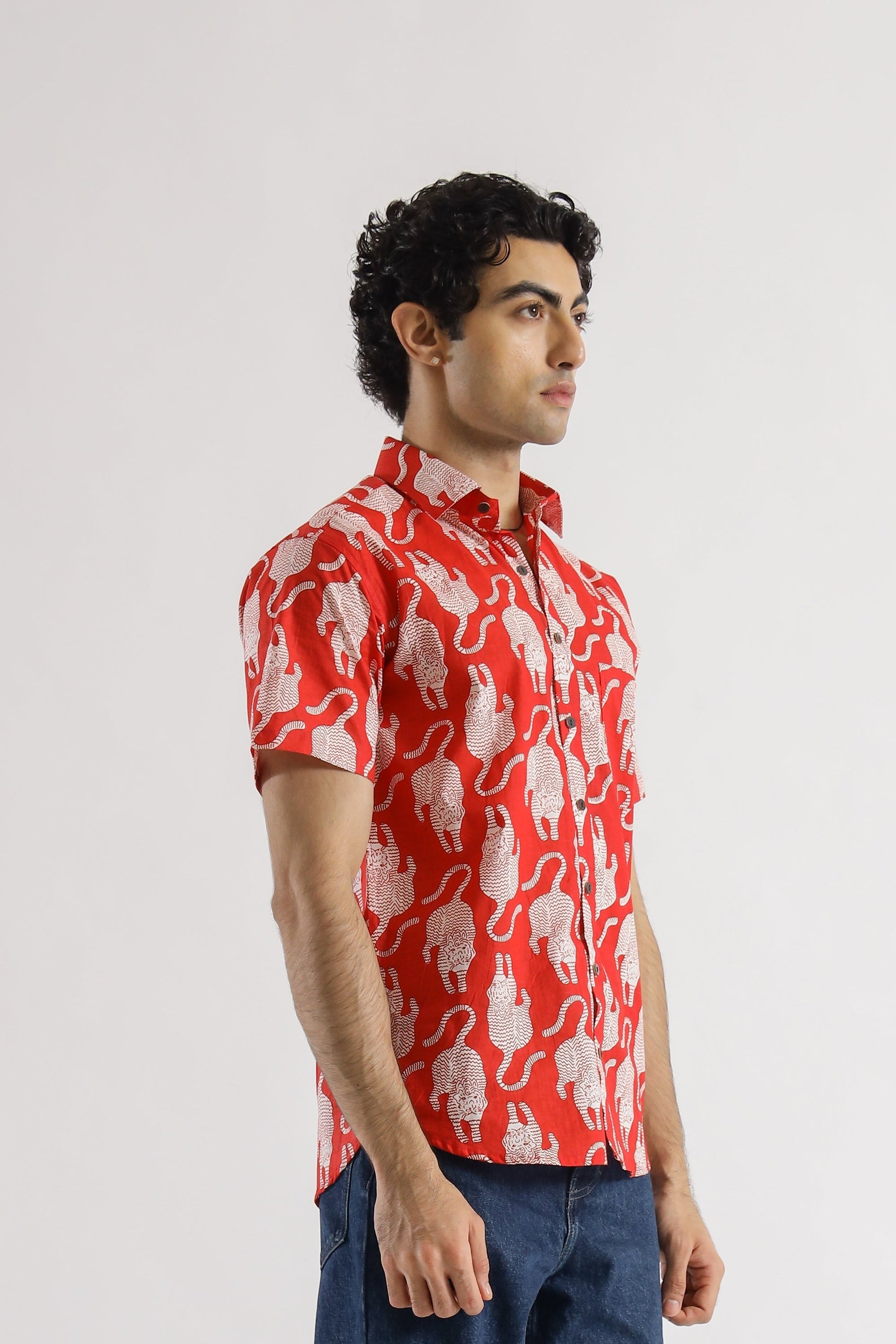 COTTON PRINTED SHIRTS | | Shop stylish women's clothing online at Label Flavia |