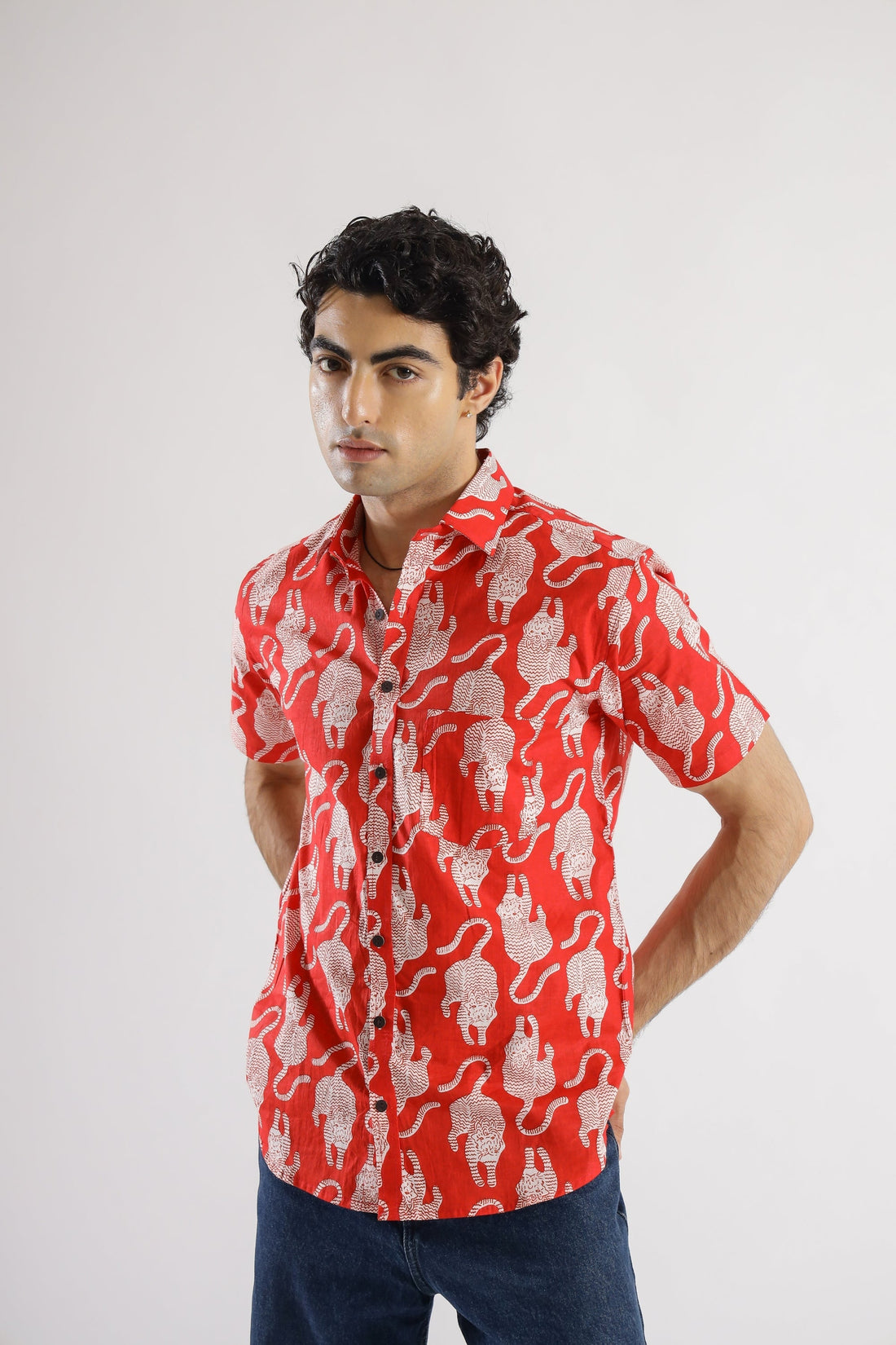 COTTON PRINTED SHIRTS | | Shop stylish women's clothing online at Label Flavia |