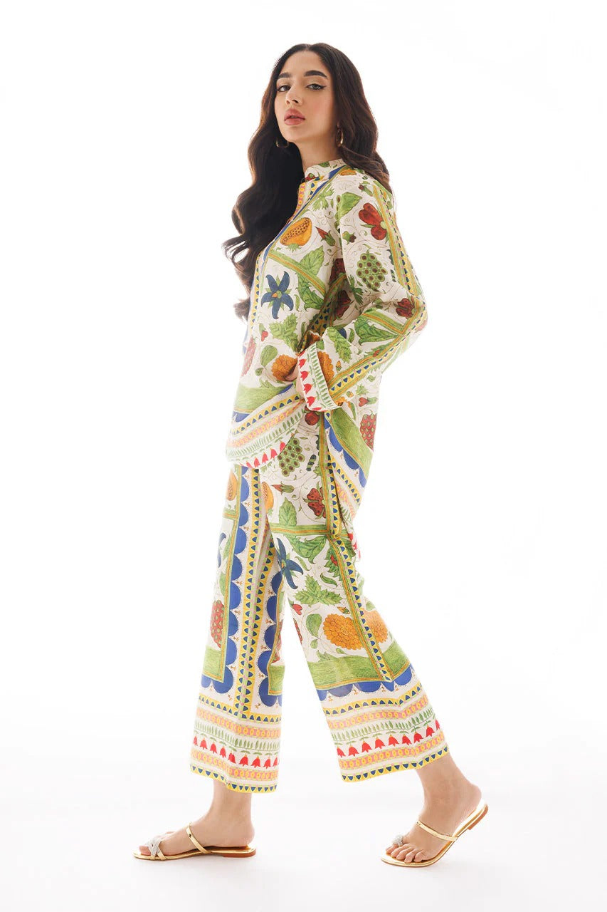 Aira Elegant Co-ord Set